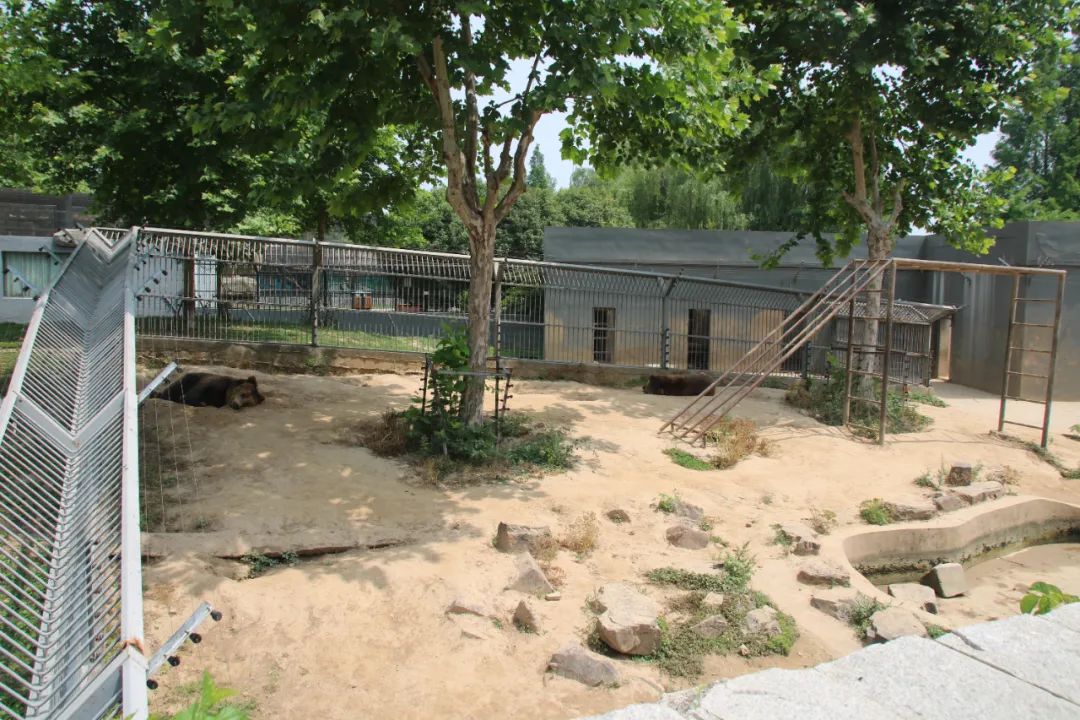 淮安动物园位置,淮安动物园多大面积
