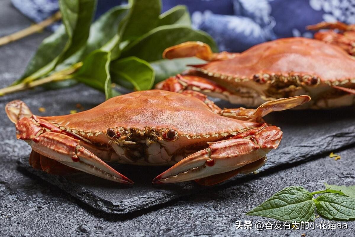 吃到最便宜最新鲜的海鲜,吃北海捞汁海鲜拉肚子