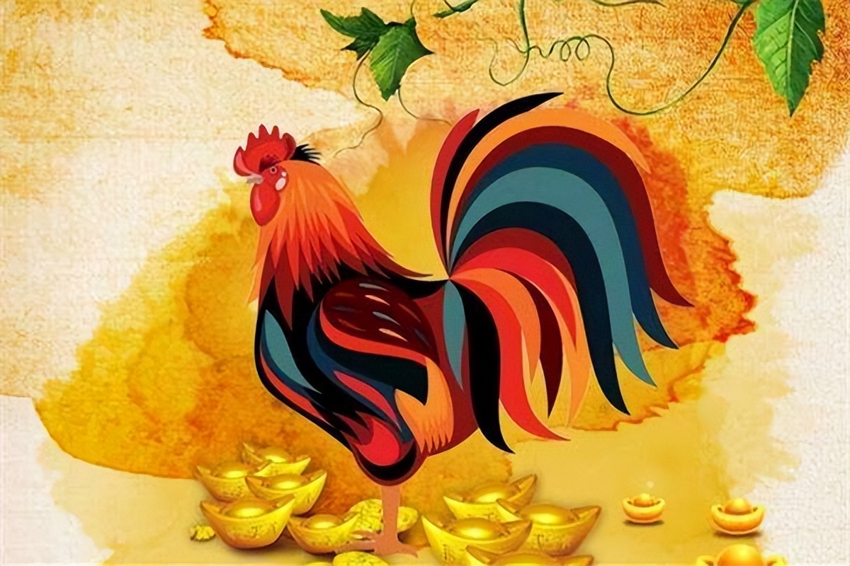 属鸡人在哪一年运气比较差,属鸡人运气解析大全