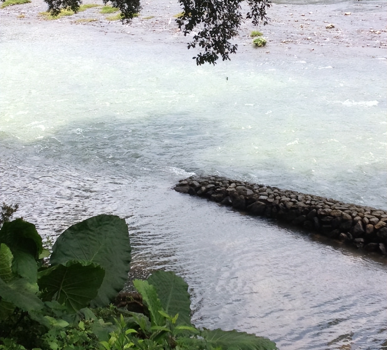 爱喝茶选哪款净水器,什么牌净水机沏茶好喝