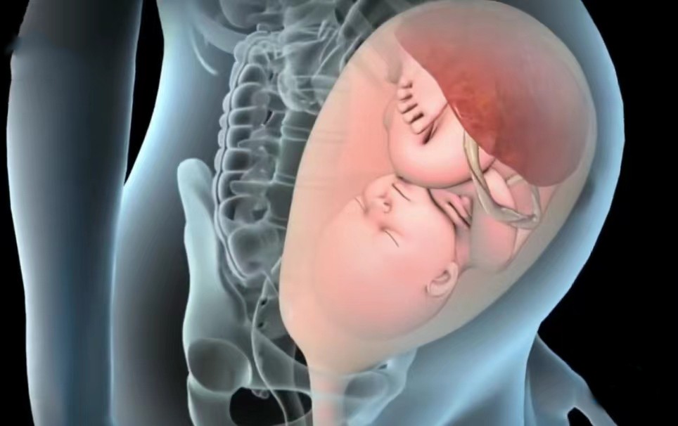 顺产3d动画流程讲解,顺产生孩子母爱伟大