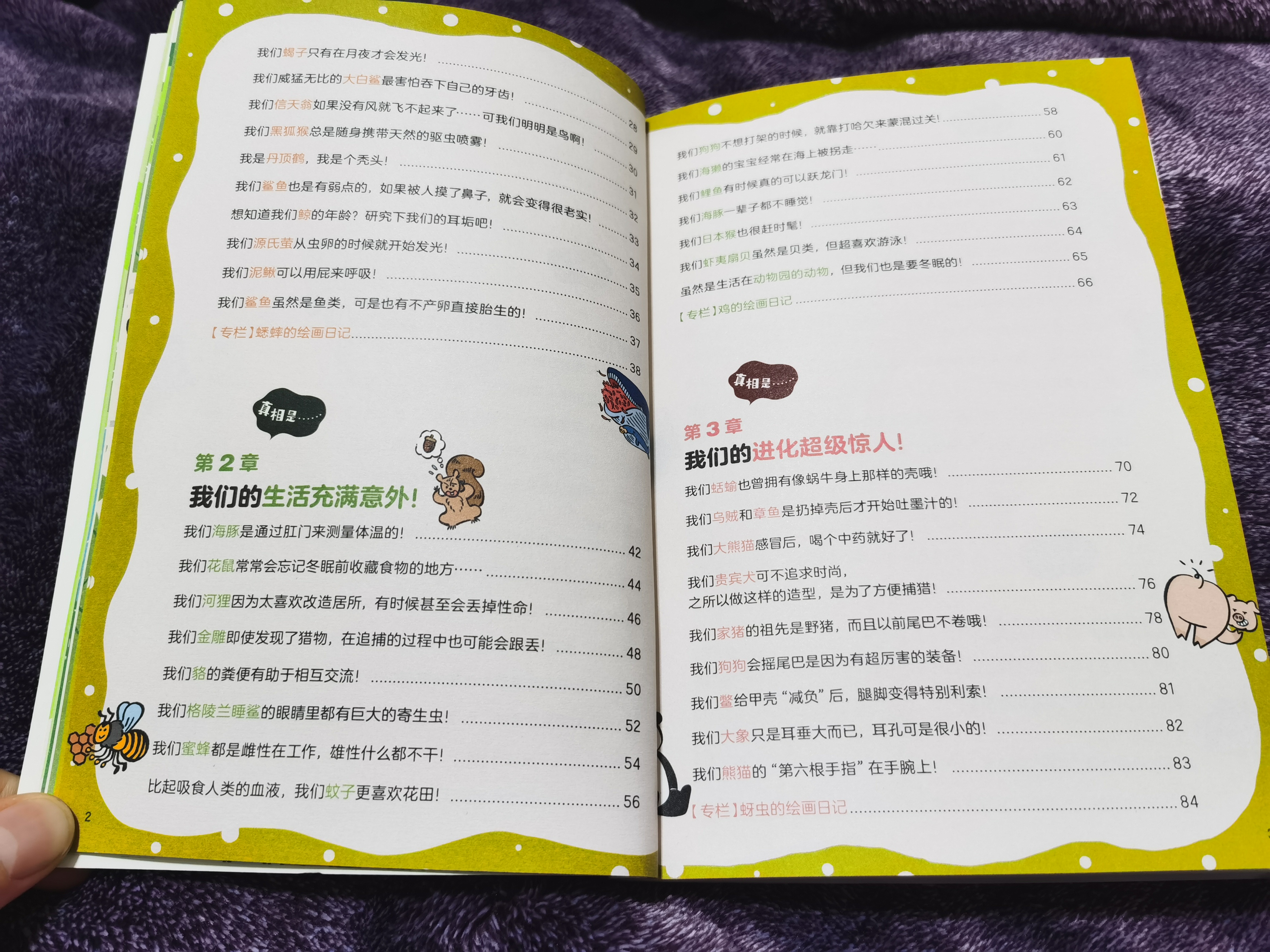 熊猫有几条腿是四条还是两条,熊猫有几根脚趾几根手指