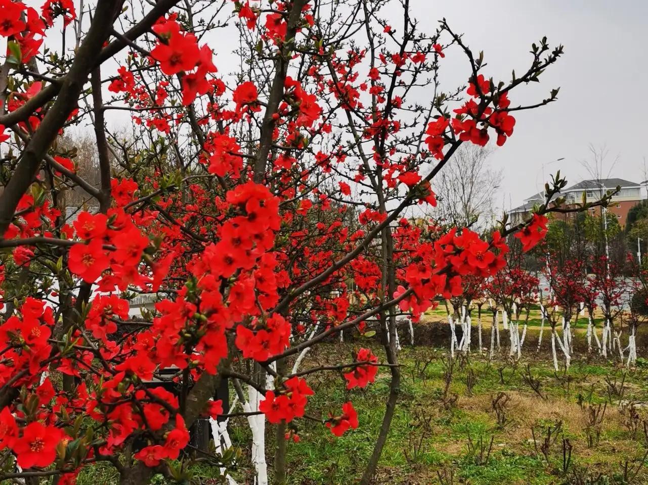 英语写作万能句型第八期,英语写作万能句大全