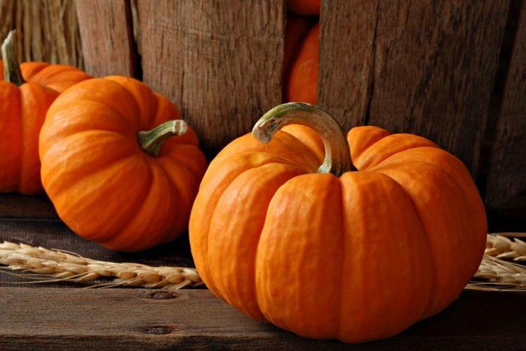 吃南瓜可引起转氨酶升高吗,肝的转氨酶高吃什么菜最好