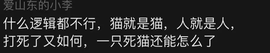 杰克辣条再次虐猫事件点评,虐猫网红杰克辣条公开道歉