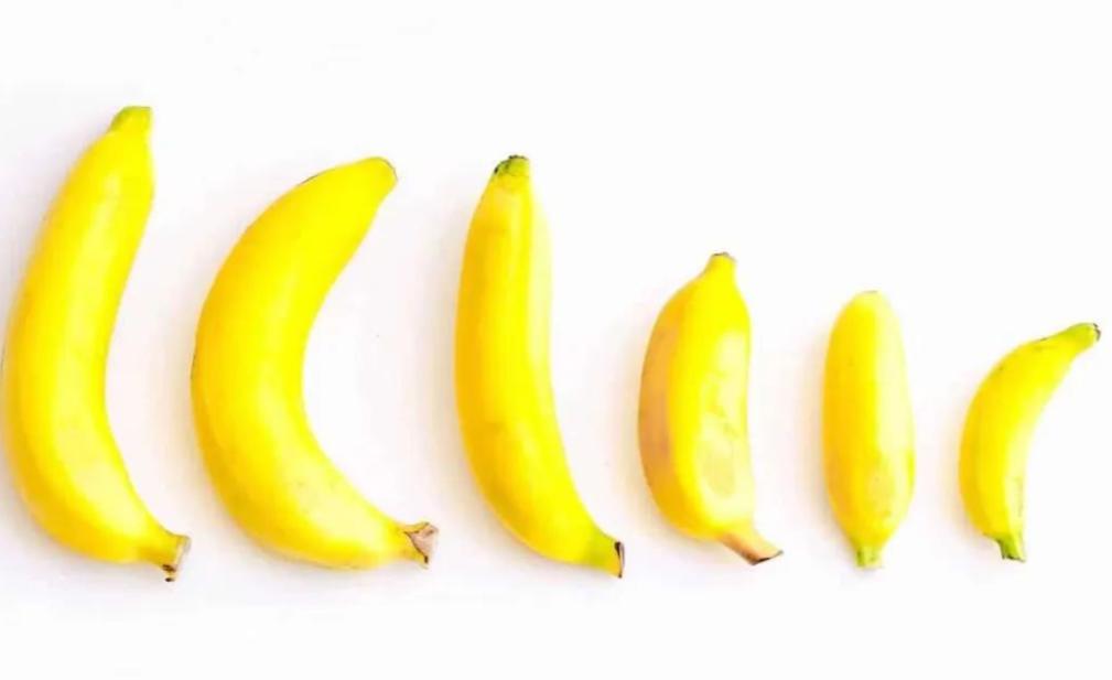 正经科普：男性“丁丁”，为什么会缩小？不排除这3个原因影响