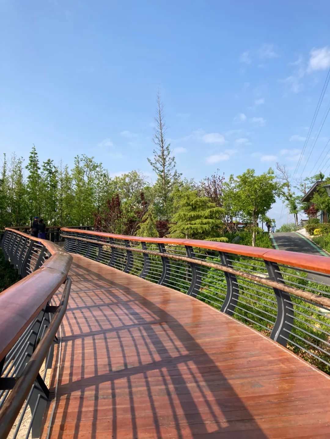 青岛浮山森林公园好玩吗,青岛浮山森林公园开放时间