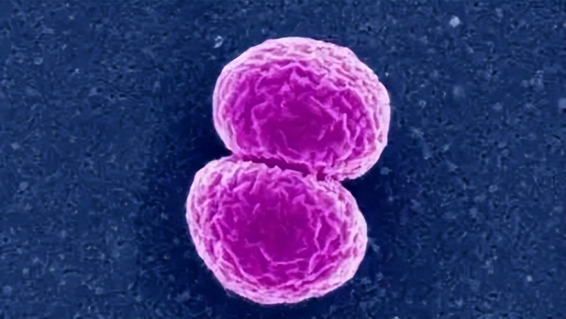 小孩掏鼻孔导致脑膜炎,男童抠鼻子导致脑膜炎