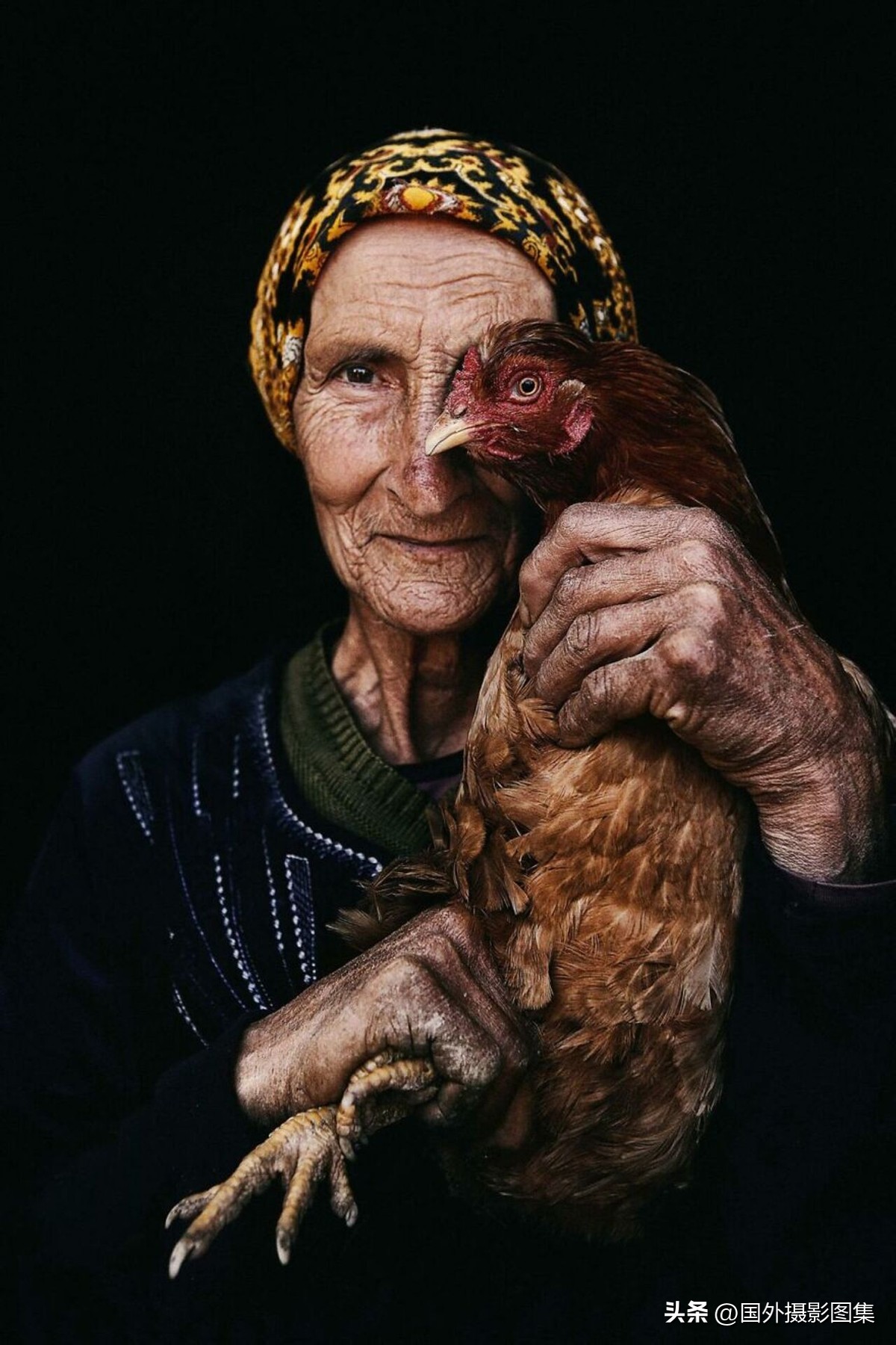 获奥林匹克摄影大奖的中国摄影师,摄影师大赛作品冠军