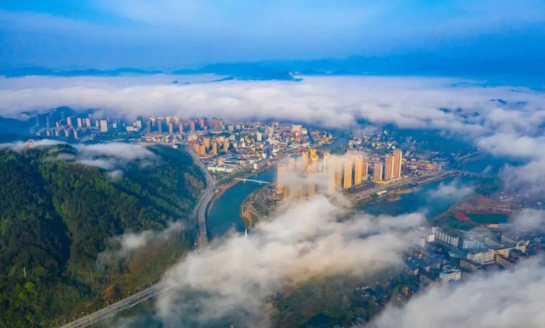 红茶最新的产品标准号,红茶各品种测评标准表最新