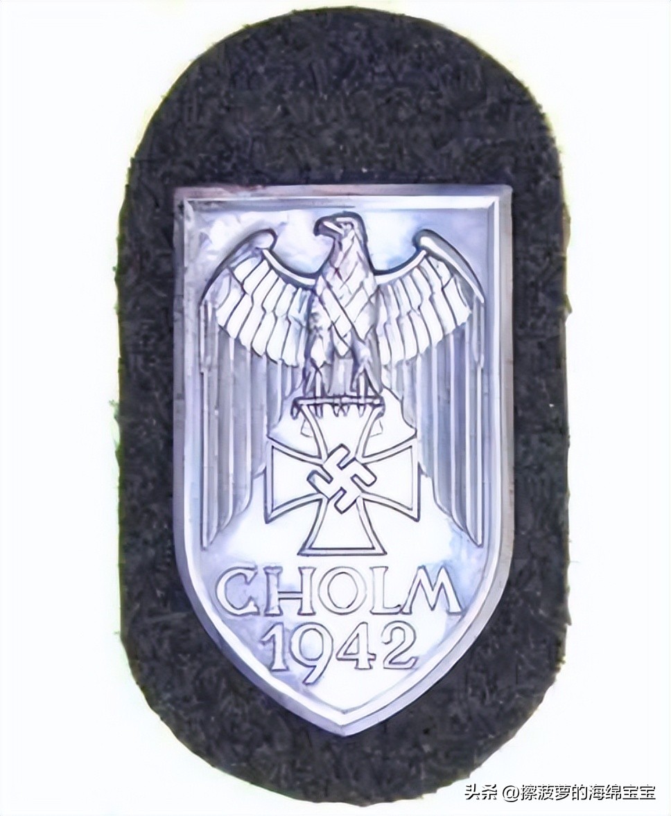 霍尔姆盾章二战德国,二战德国军奖章