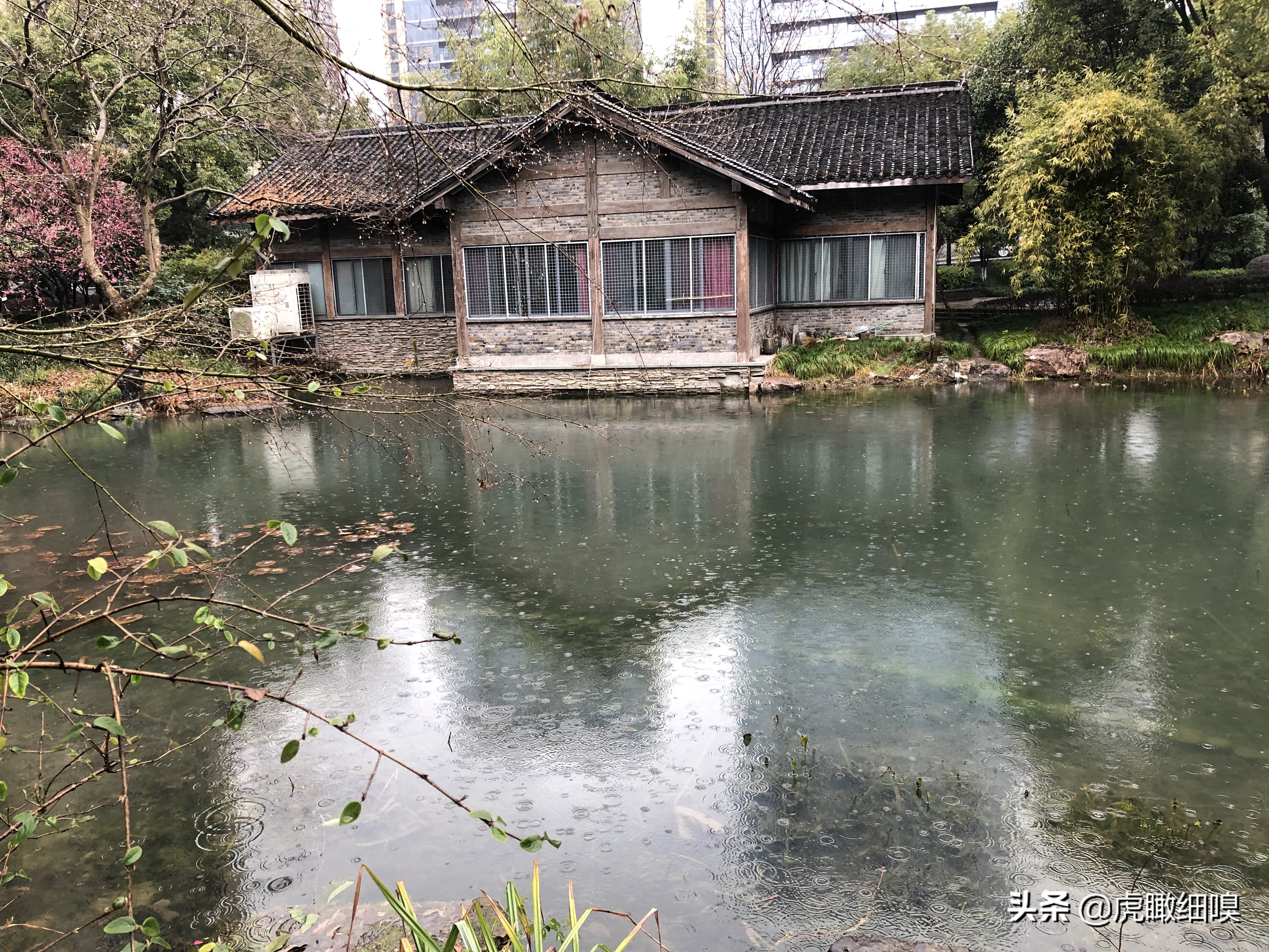 临平水景公园秋天,临平公园当地知名度最高的公园