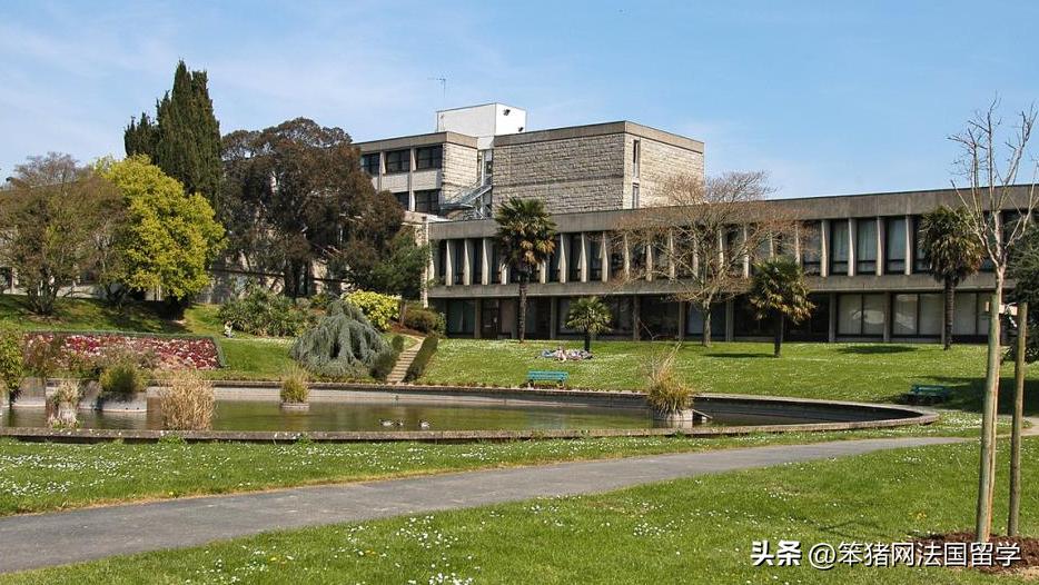 笨猪法语中文,笨猪法语