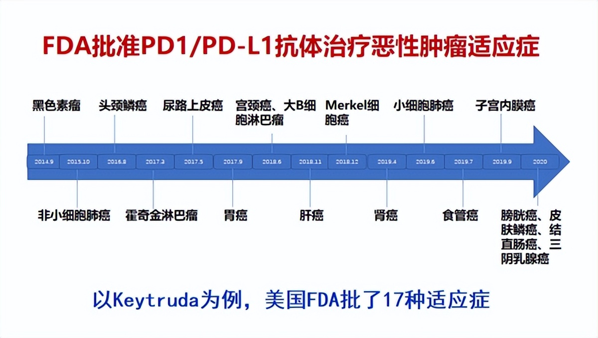 肿瘤客观缓解率,肿瘤客观缓解率是什么意思