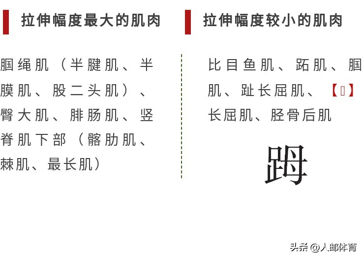 在沙发上锻炼,久坐一族伸展练习方法