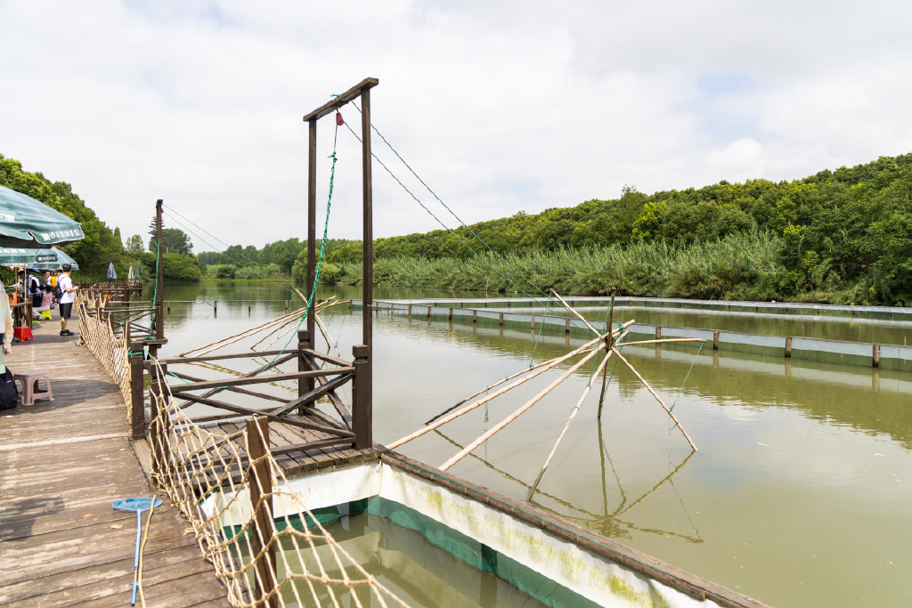 常熟沙家浜夏天游玩,沙家浜体验项目