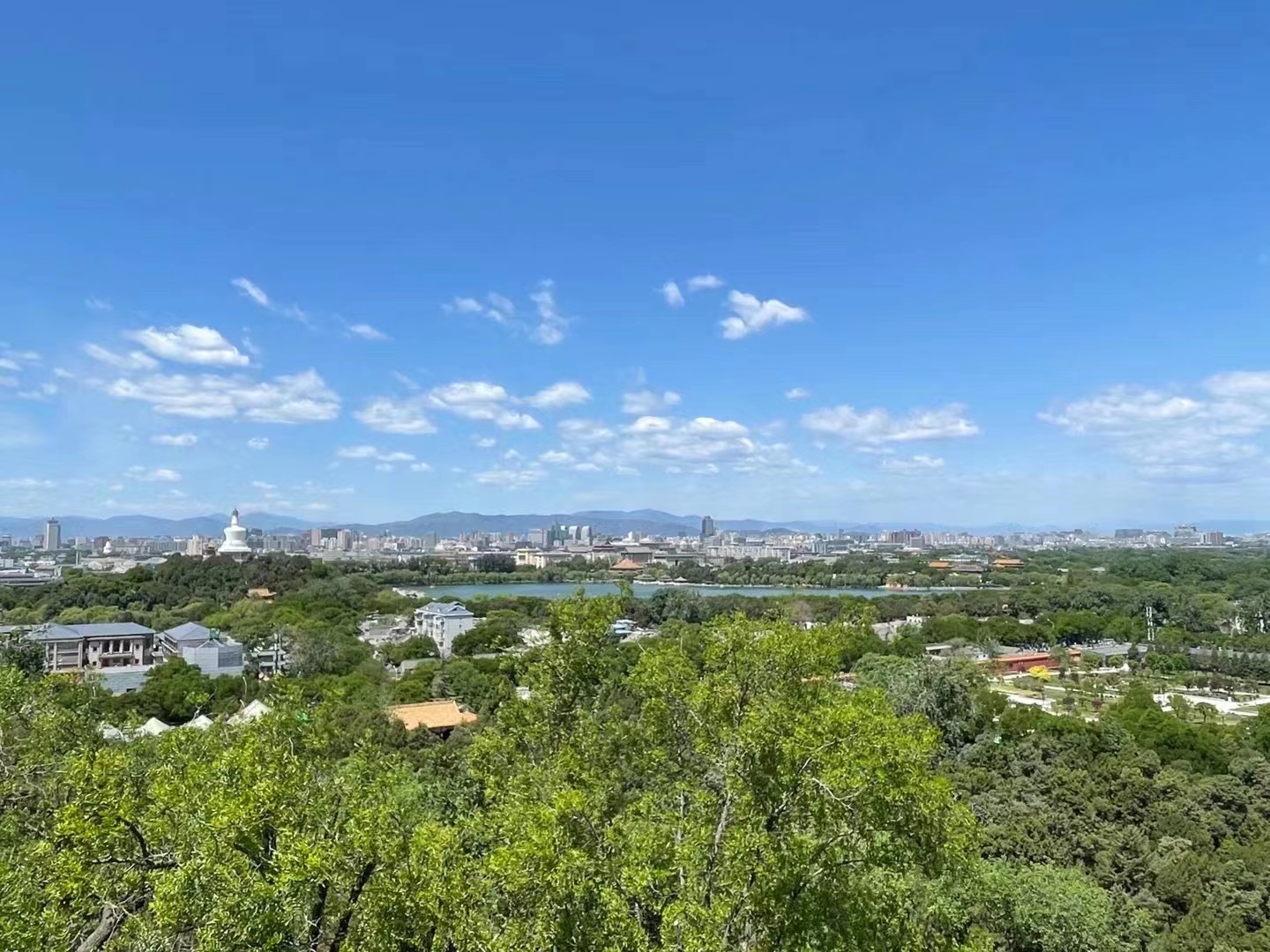来北京一定要去一趟景山公园,北京景山公园春节风景