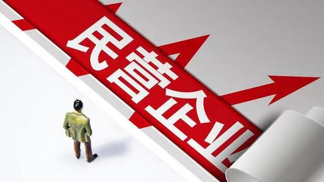 2023年中国民营企业100强：北上广深四座城市孰强孰优？