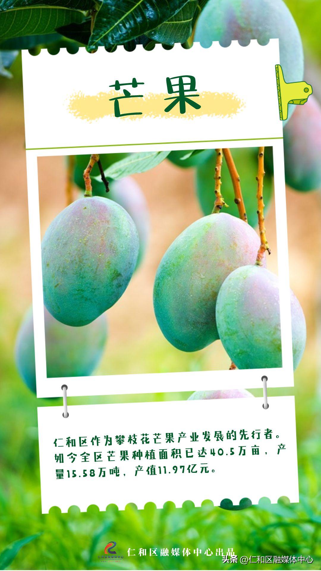 超甜的热带水果有哪些,好看好吃又不常见的水果