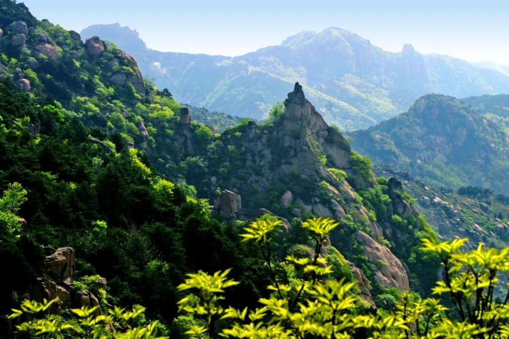 一位优雅的公主享用下午茶,一位优雅的公主正在享用下午茶