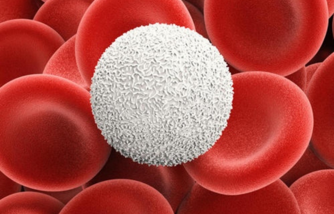 从白带颜色怎样判断妇科疾病,妇科病怎么从白带可以看出来