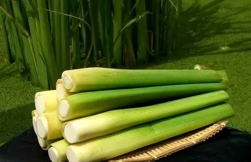 茅山国学文化亲子游,茅山民俗文化艺术