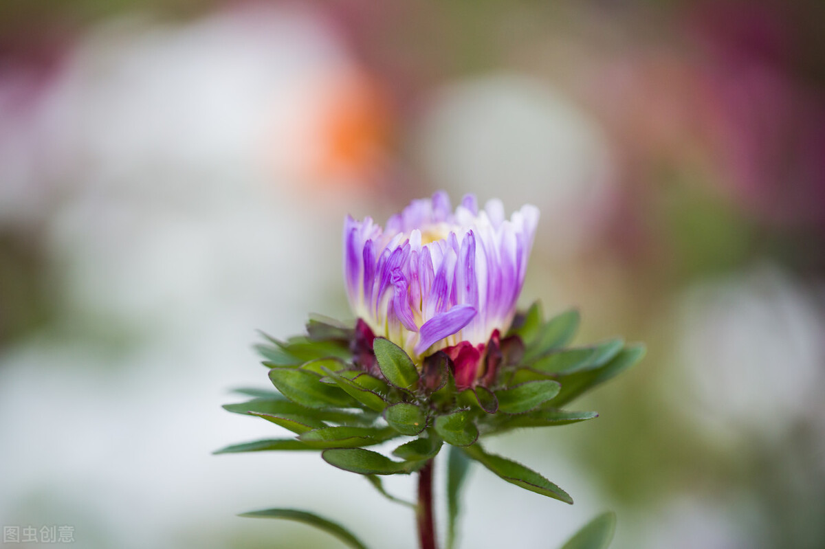 延迟满足的能力,延迟满足的弊端
