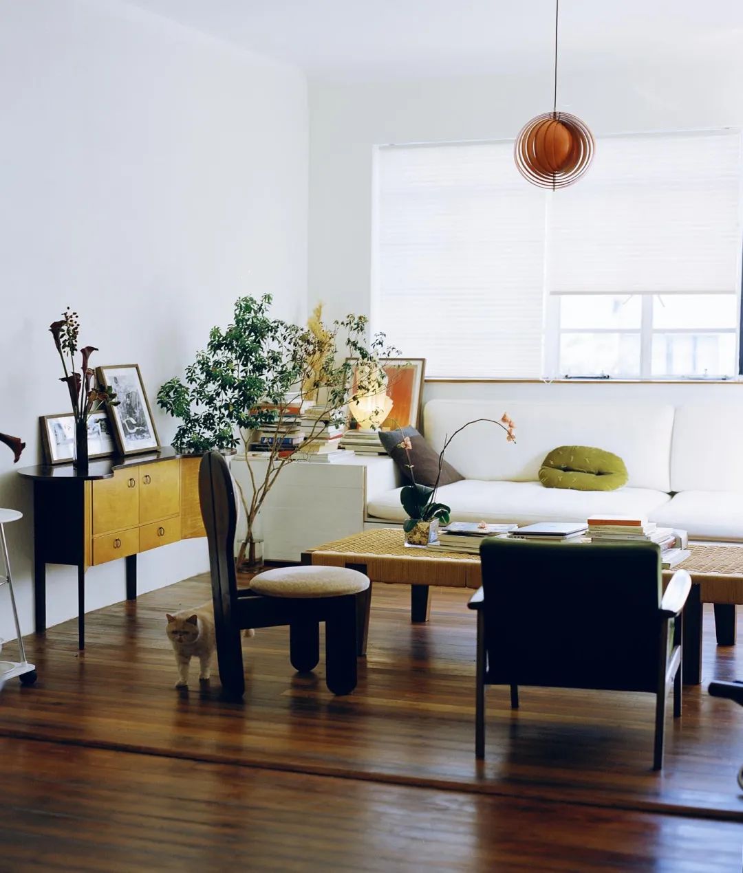 独居上瘾?她9年换租4个上海老洋房:一个人住是我的生活底线