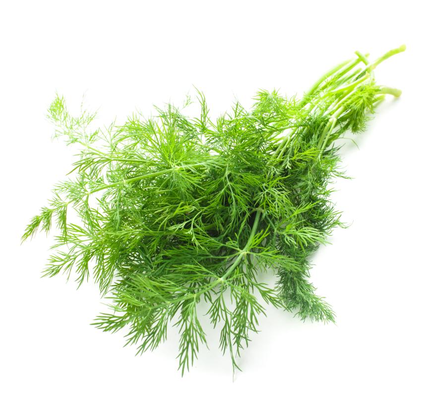 5种调理肠胃的好食材,厨房里最健脾胃的食材