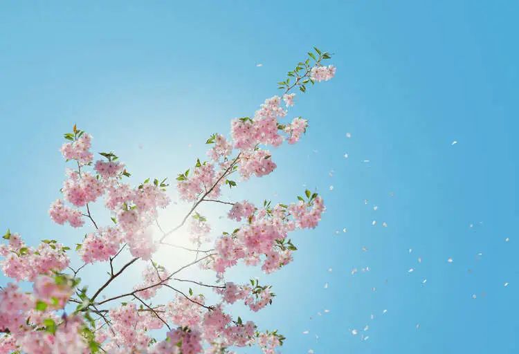 兔年取什么名字最好,兔年宝宝名字推荐