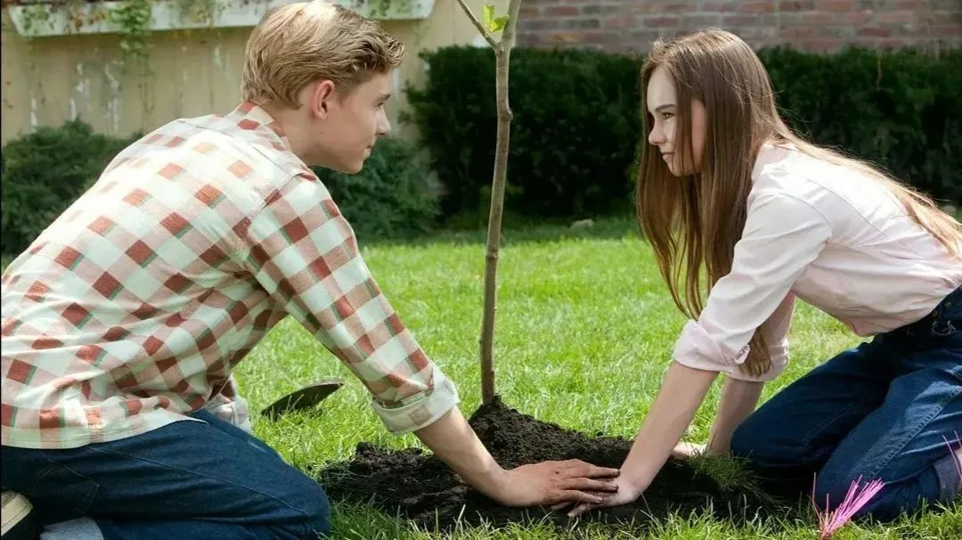 英专生必看电视剧,适合英专生看的英语电影