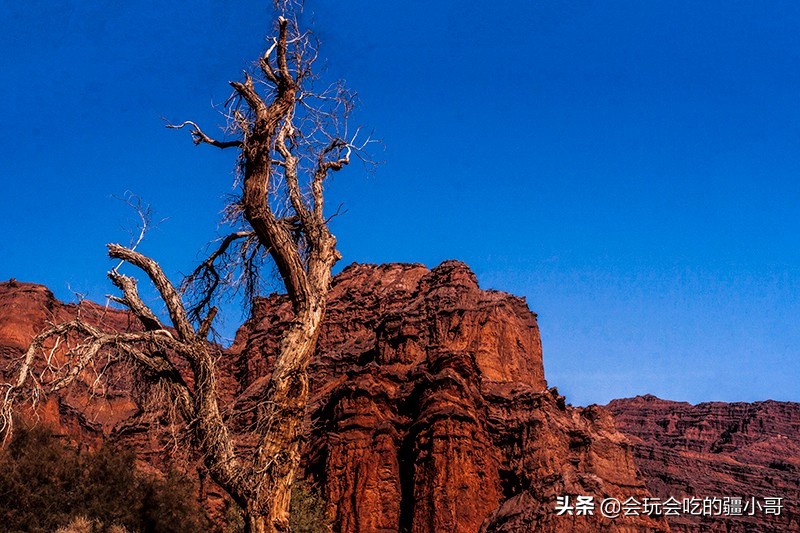 从新疆旅游回来都需要做什么,从新疆去内地旅游怎么划算