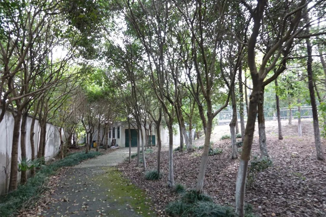 泰州动物园在哪里,泰州动物园在哪