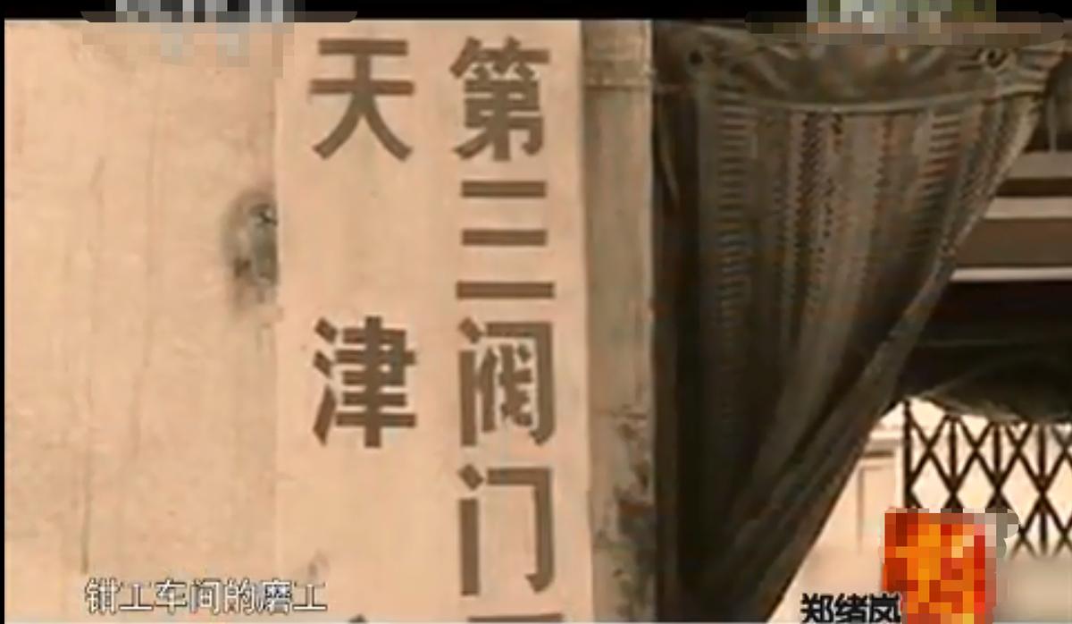 郑绪岚成名作北京卫视,郑绪岚如今有工作吗