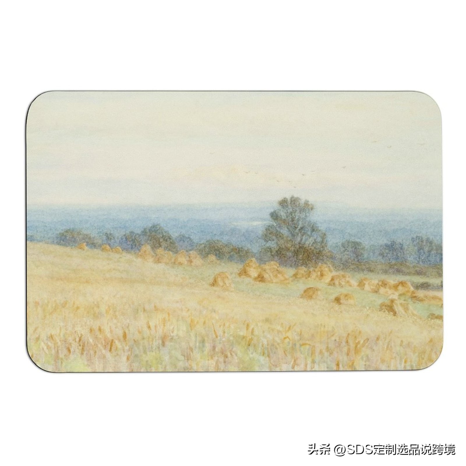 跨境硅藻泥地垫,跨境电商海外风口项目