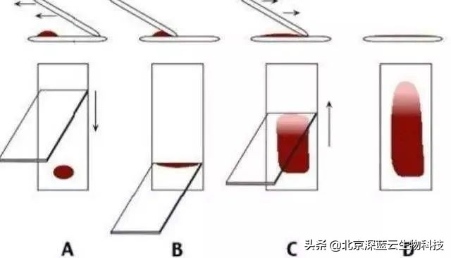生物显微镜玻片的制作,显微镜玻片制作方法