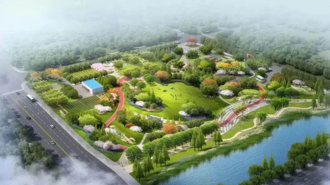 最新武汉好消息,武汉好消息今日头条