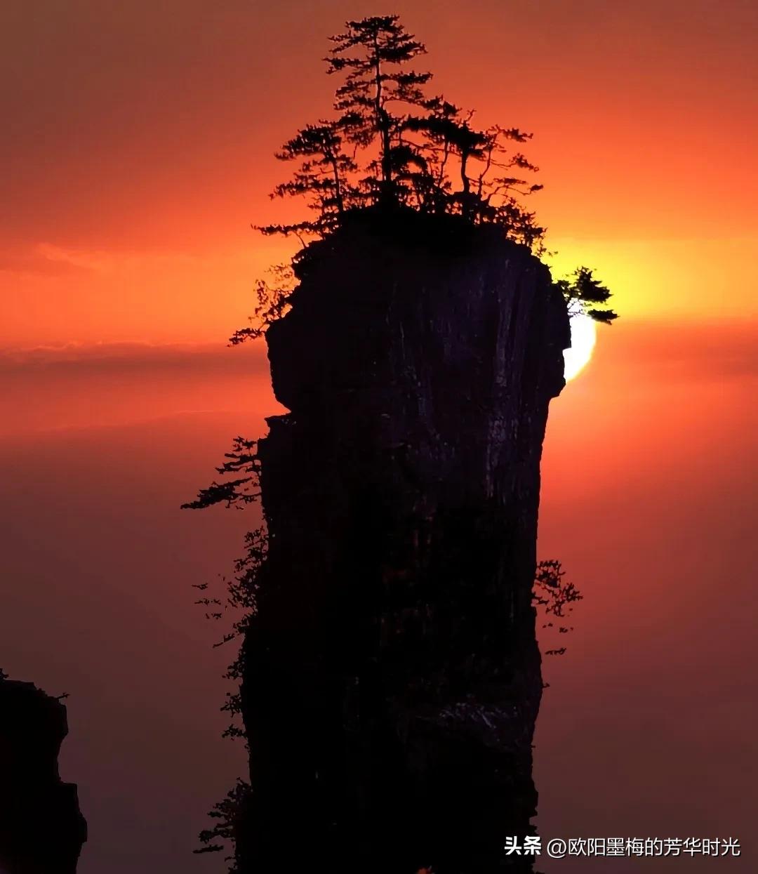 张家界自由行深度游全攻略,张家界亲子自驾游详细攻略