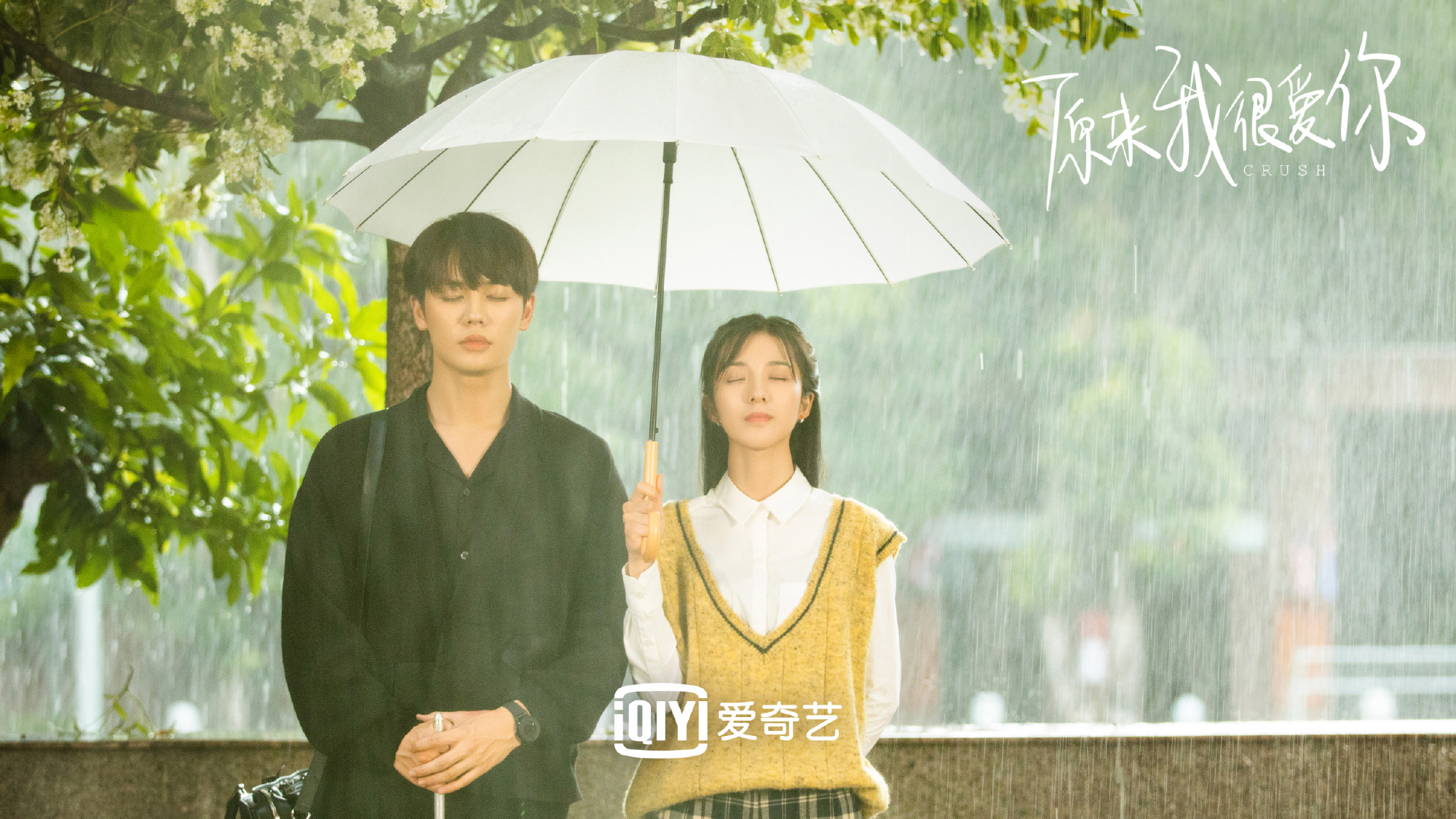 原来我很爱你电视剧追妻,原来我很爱你追剧推荐