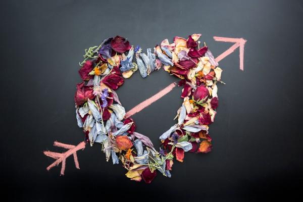 520祝福语录短句子有哪些,520祝福的话语句句暖人心