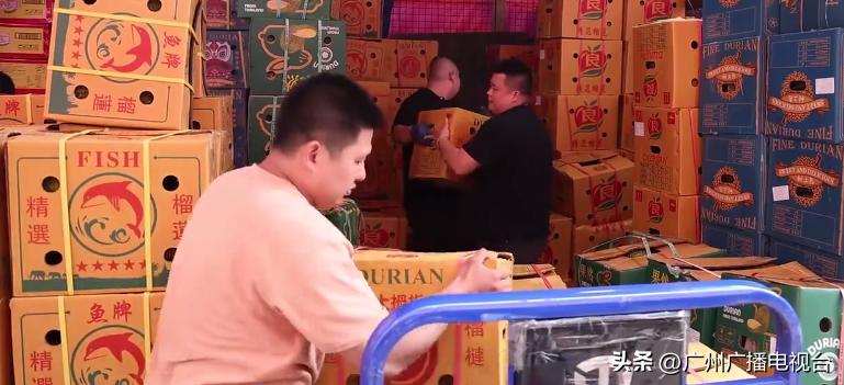 国内的新鲜榴莲从哪里来,进口6000吨榴莲