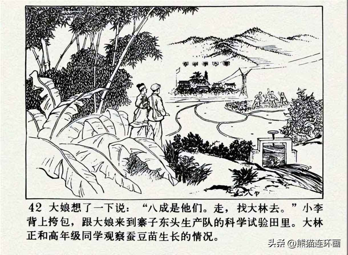 连环画南瓜生蛋的秘密价格,南瓜故事连环画