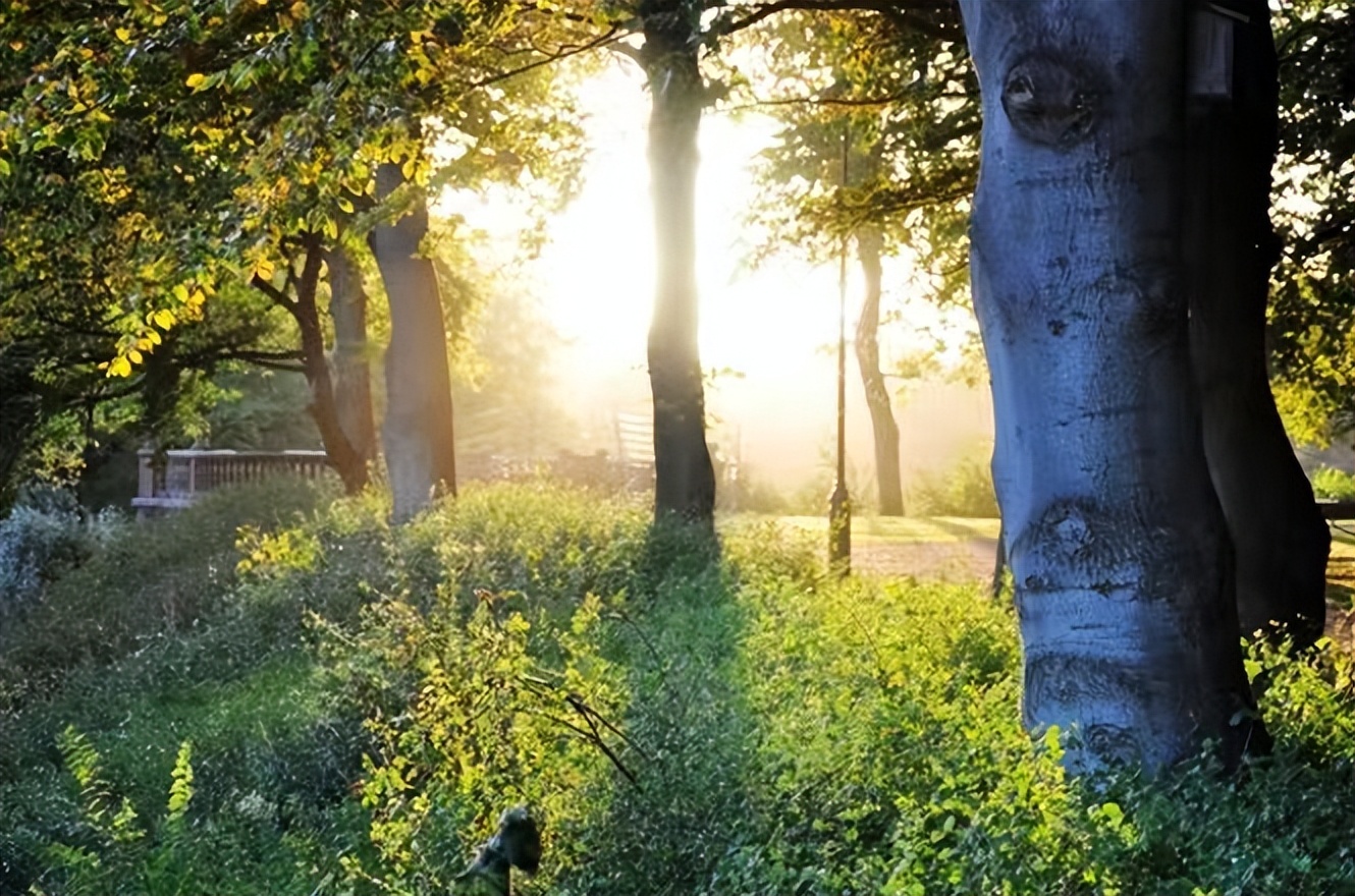 世界国家地理图鉴大全,最震撼的国家地理图