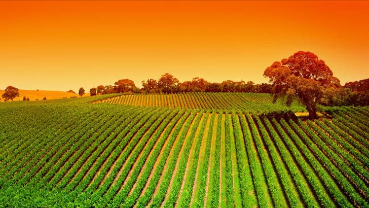 脾气大容易发火的星座,脾气大的星座配对