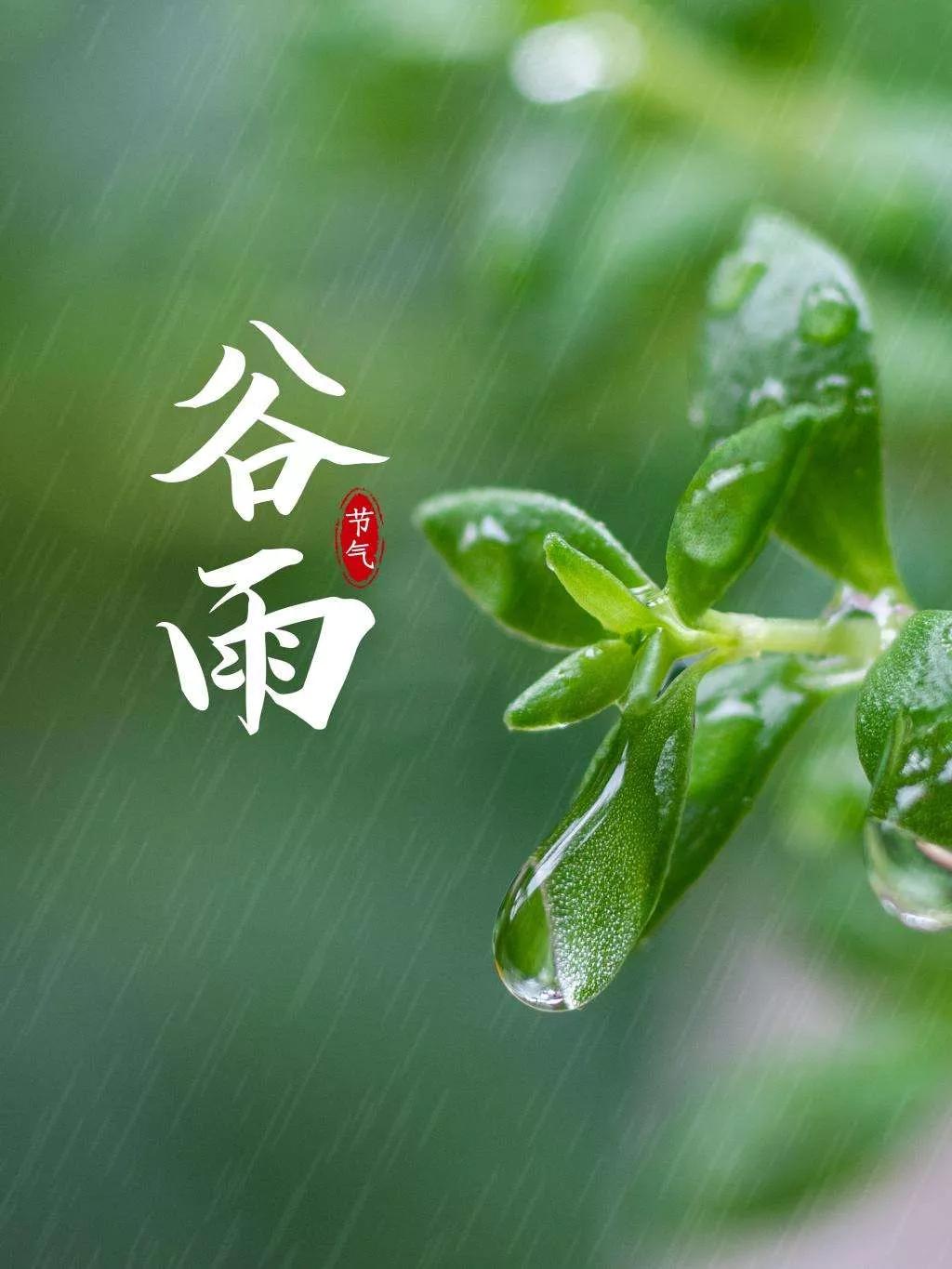 五律初冬雨,二十四节气谷雨五律