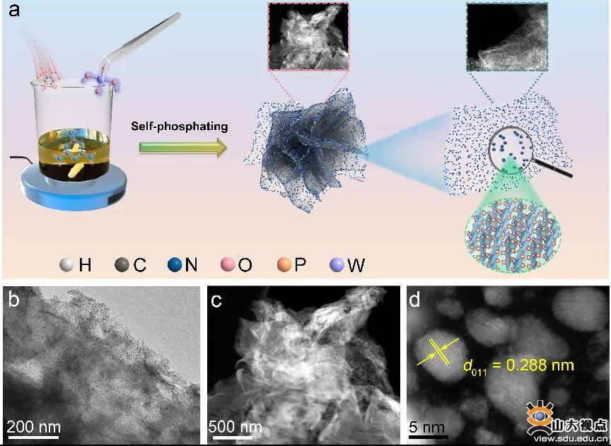 乘风破浪再奋进!姗姗带你看SDU最新学术一览