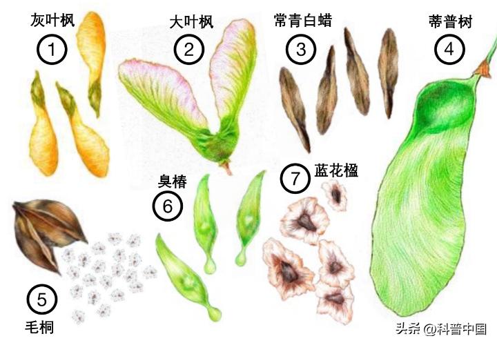 来看它们春风吹又“生”，“生”孩子的“生”！