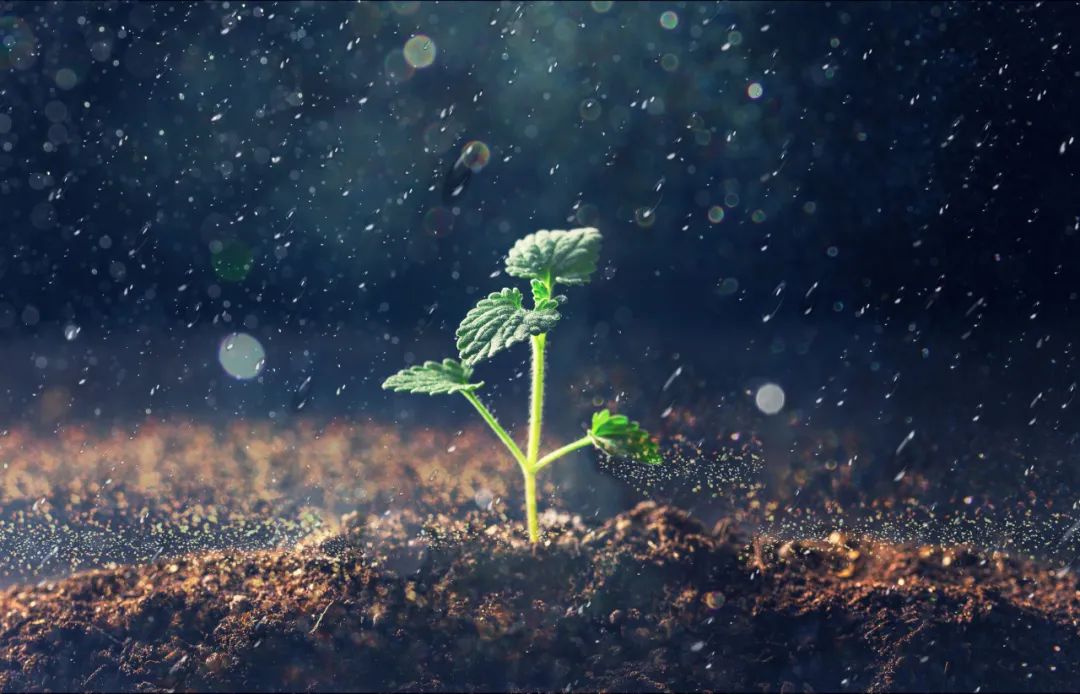 唐诗300首李商隐晚晴 (人间重晚晴李商隐最好的三首诗)