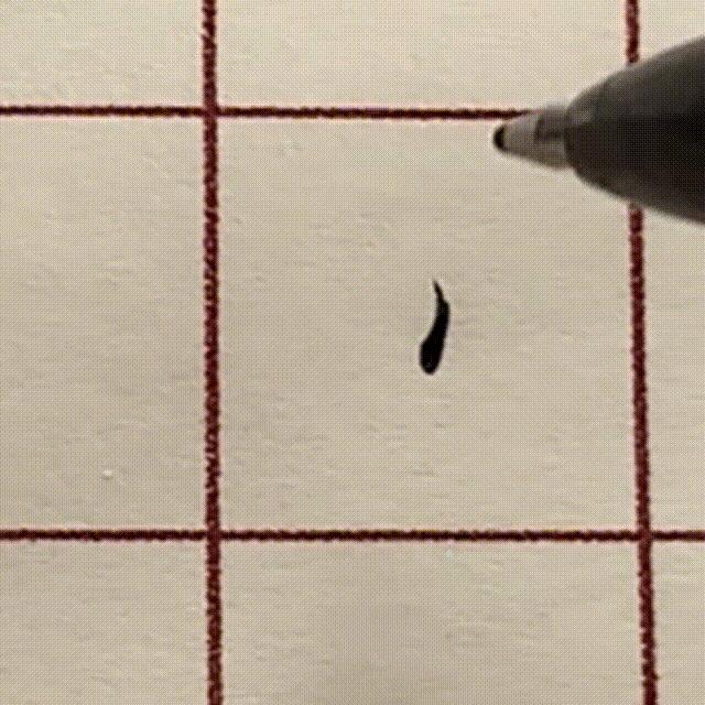 一句口诀学会十个常用笔画,常用的基本笔画有哪些