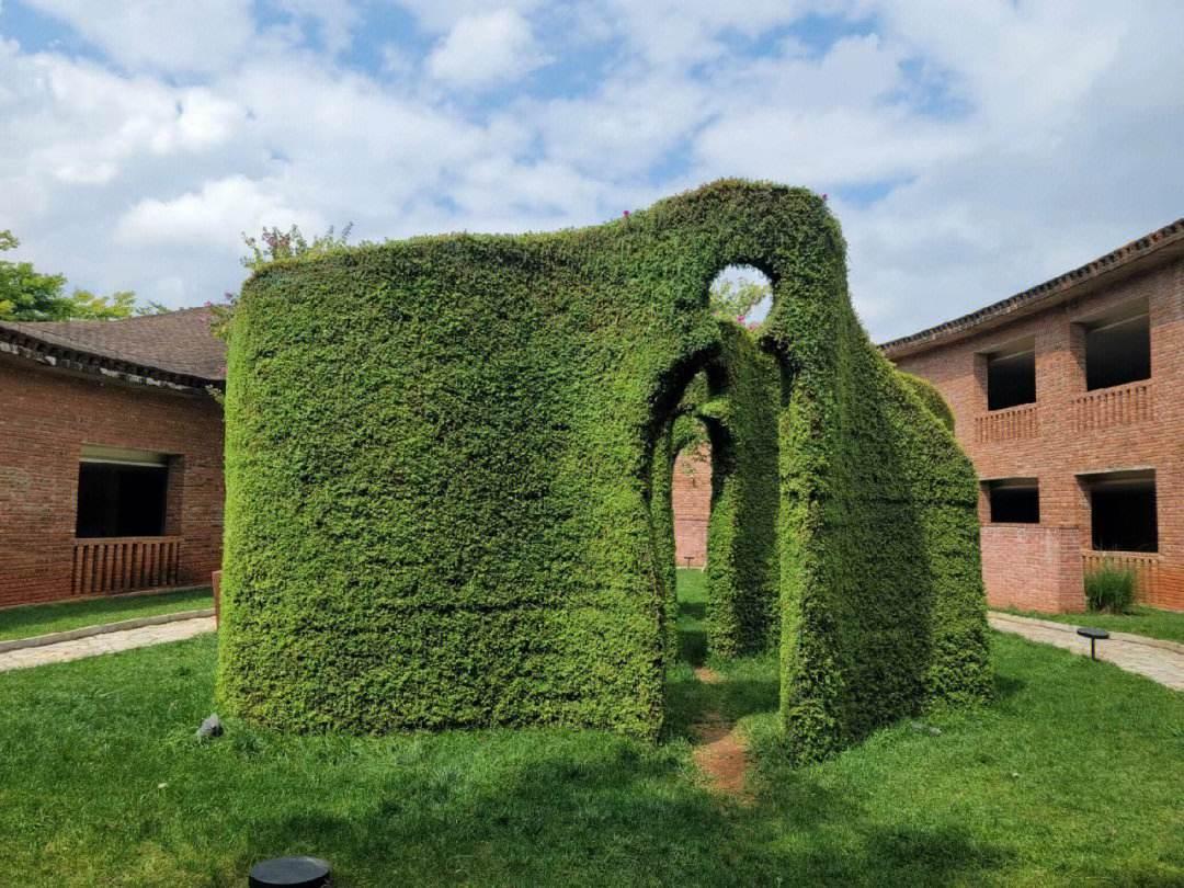 云南旅游养老最好的地方,云南适合养老居家的地方